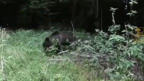 وقتی تو خیابون فامیل میبینم 