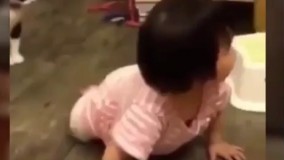 هیچ وقت به گربه ها اعتماد نکنید 