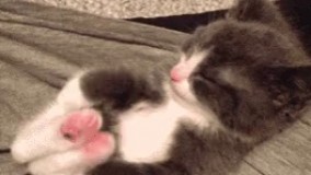 خیش عجب خوابی بود 