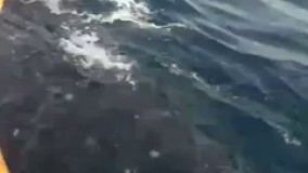 نهنگ سواری جوانان بوشهری