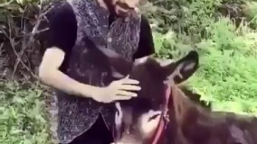 هر بار این خرو محکم نبند نرو ...