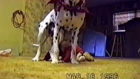 سگ قشنگ و باحال