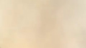 آتش‌سوزی در پارک پردیسان