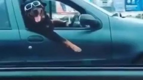 چه قیافه ای گرفته