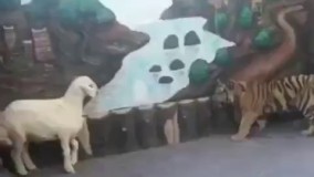 آخر الزمان نزدیکه