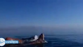 دریایی که در آن غرق نمیشوید