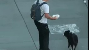 ادامه مسیر رو تنهایی رفت 