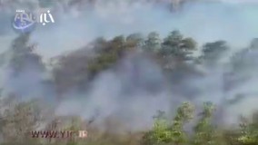  آتش سوزی در جنگل های حسن آباد نوشهر