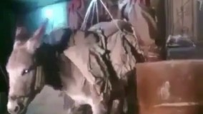 اگه بگن یارو خرو با دهنش بلند کرده چی فکر میکنی؟