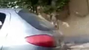 جمع کنید بریم  اینجا دیگه جای موندن نیست