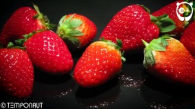 تایم لپس شگفت‌انگیز از فاسد شدن خوراکی ها