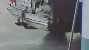 عاقا این چه وضع حمل احشامه