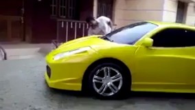 این عالی بود