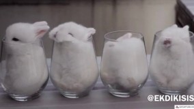 دومی از راست فقط