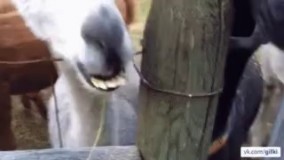 وقتی یه غذای داغ میزاری تو دهنت