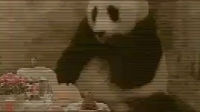 وقتی میری یه رستوران شیک و صورت حسابو میارن