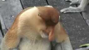 وقتی داری درس میخونی