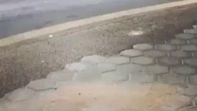  چرا ازینا توایران نداریم          بریم 700 تا سلفی بگیریم؟