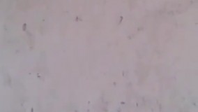 هندوانه ای که کشاورزش را تبدیل به خواننده کرد.