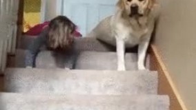 رفقای پایه فقط اینا