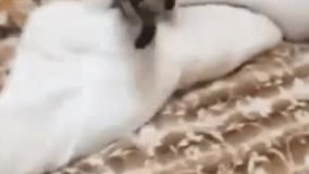 وقتی مامانت نصف شب میگه تو هنوز نخوابیدیییییی؟