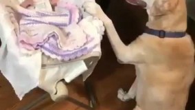 تصویری زیبا از دنیای حیوانات ___