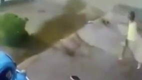 تا خدا نخواهد برگی از درختی نمی افتد