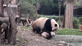 ولم کن من حموم نمیام