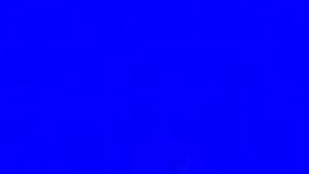 موجودی مرموز و زیبا به نام فرشته دریایی sea angel که اخیرا کشف شده