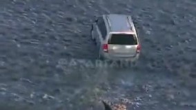 فرد مجنون با الهام گیری از یک بازی پرطرفدار رایانه ای  (GTA) ، دست به دزدی و شورش خیابانی می زند