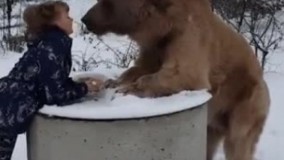 حیوون خونگی فقط خرس