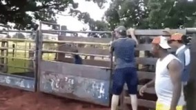 مسابقه گاوبازی از نوع انسانی