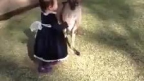 برو با هم قدت بازی کن