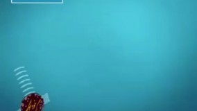 ماجرای موش گزیدگی نوزاد در بیمارستان امام خمینی اهواز!