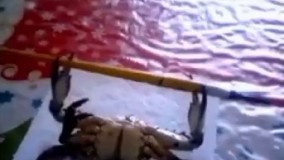 خیلى دارى درست میزنى داداااااااااچ