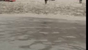 مردن در قسمت کم عمق اب