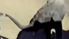 بگو غلط کردم ولت کنم 