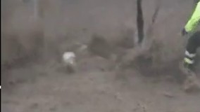 تو سیل هم رفته خرید