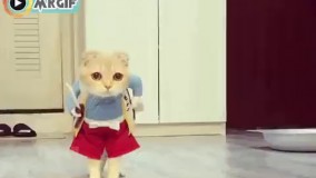 ترکیدم ..  چه شکلی شده