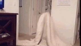 شعبده بازی فقط این