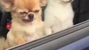 وقتی تو مترو زیر بغل کناریت بو میده