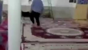 حمله بزغاله به نماز جماعت 