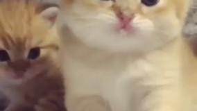 خدایا هیچی از این دنیا نمیخوام غیر از این