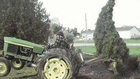 منو میخوای در بیاری از زمین؟بگیر که اومد