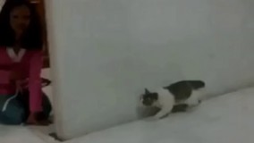 آخرش کی قرار بود بترس؟