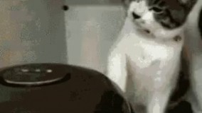 خااااک تو سرت ببین گند زدی به دستگاه روشن نمیشه