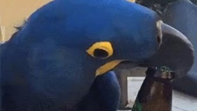 در واکن کی بودی تو