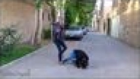 کارنامه اصفهانی