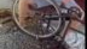 خلاقیت در جدا کردن دانه های تخمه از گل  آفتابگردان