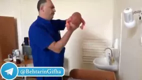 بدون شرح!
